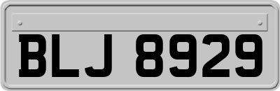 BLJ8929