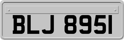BLJ8951