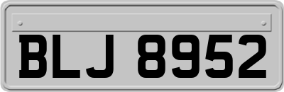 BLJ8952