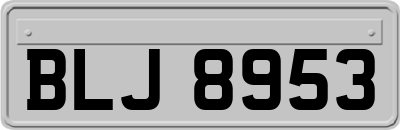 BLJ8953