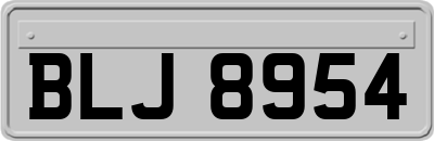 BLJ8954