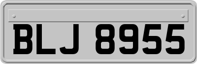 BLJ8955