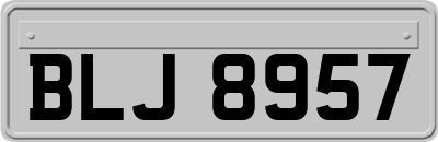 BLJ8957