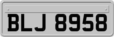 BLJ8958
