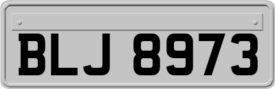 BLJ8973