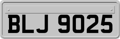 BLJ9025
