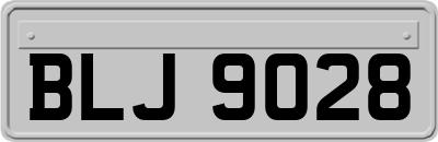 BLJ9028