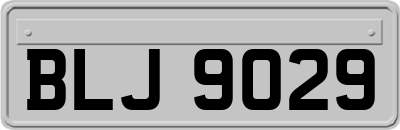 BLJ9029