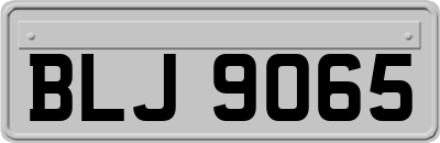 BLJ9065