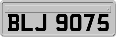 BLJ9075