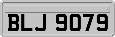 BLJ9079
