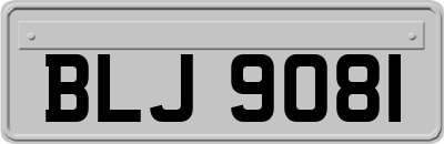 BLJ9081