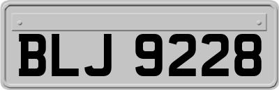BLJ9228