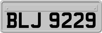 BLJ9229