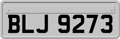 BLJ9273