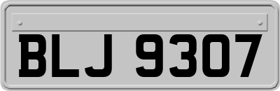 BLJ9307