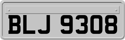BLJ9308
