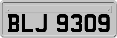 BLJ9309