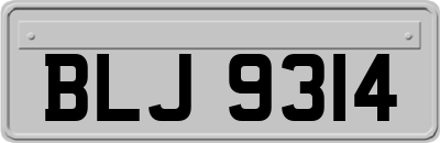 BLJ9314
