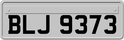BLJ9373