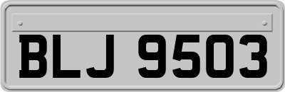 BLJ9503