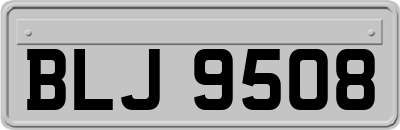 BLJ9508