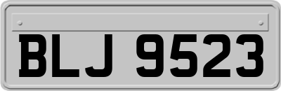 BLJ9523