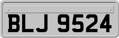 BLJ9524