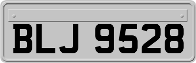 BLJ9528