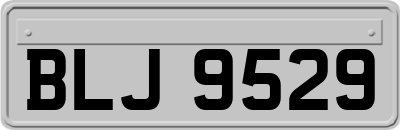 BLJ9529