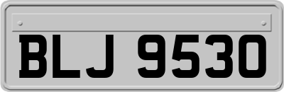 BLJ9530