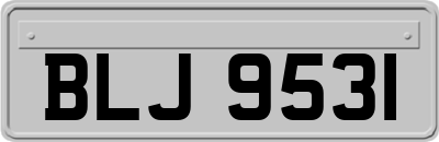 BLJ9531