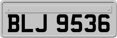 BLJ9536