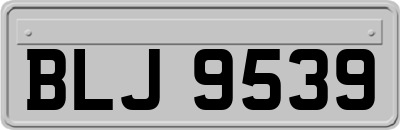 BLJ9539