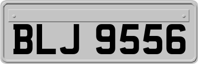 BLJ9556