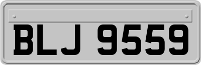 BLJ9559