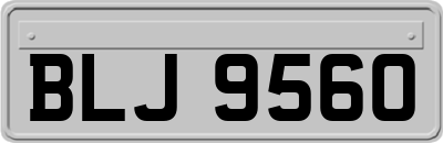 BLJ9560