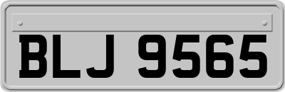 BLJ9565