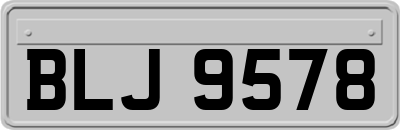 BLJ9578