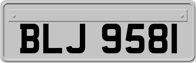 BLJ9581