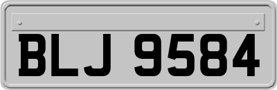 BLJ9584