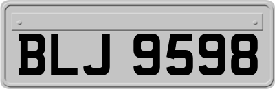 BLJ9598