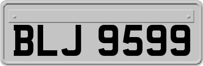 BLJ9599