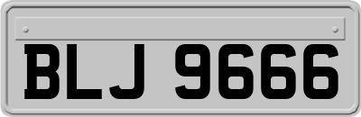 BLJ9666