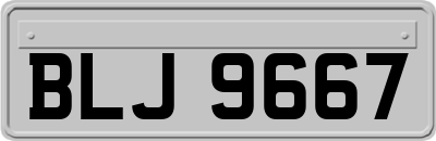 BLJ9667