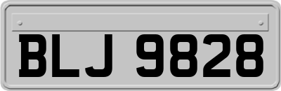 BLJ9828