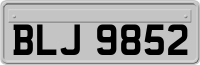 BLJ9852