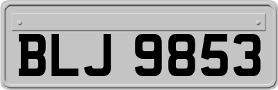 BLJ9853