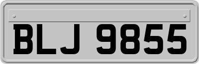 BLJ9855