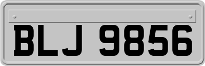 BLJ9856
